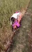 Desi callgirl caught fucking in the khet