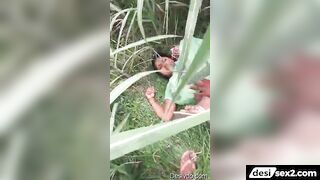 Punjabi randi gangbang in farm