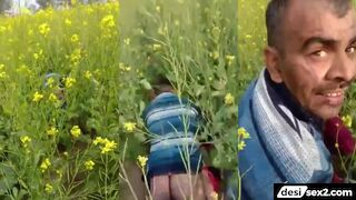 Rajasthani bhabhi ki sarso ke khet wali chudai video