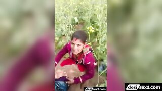 Rajasthani bhabhi ki sarso ke khet wali chudai video